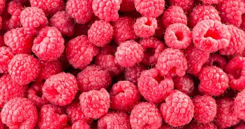 فتح السوق الأمريكية أمام صادرات المغرب من توت العليق (framboise)