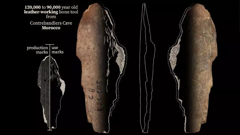 الحفريات في الكهف حيث تم اكتشاف أدوات العظام المستخدمة في صناعة الجلود