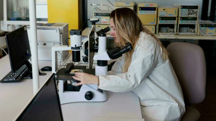 شابة تعمل في أول حاضنة تكنولوجية للقنب لأغراض طبية في بلدة يروحام في إسرائيل