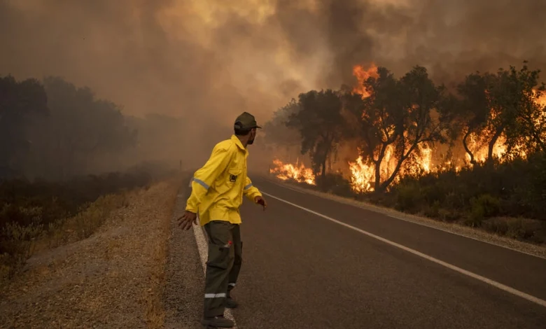 عنصر من فرق الإطفاء قرب حريق مشتعل في إحدى الغابات في محيط مدينة القصر الكبير في إقليم العرائش بشمال غرب المغرب