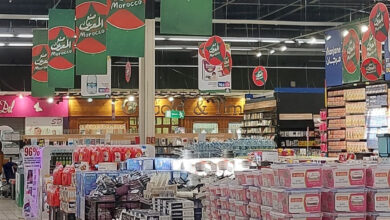 مجموعة مرجان.. التزام قوي تجاه الاقتصاد المحلي وتعزيز فرص العمل