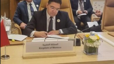 وزير الشؤون الخارجية والتعاون الإفريقي والمغاربة المقيمين بالخارج، ناصر بوريطة