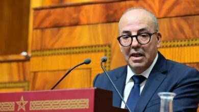 أحمد البواري وزير الفلاحة والصيد البحري والتنمية القروية والمياه والغابات
