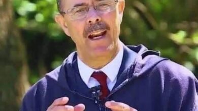 محمد أمين بلغيث
